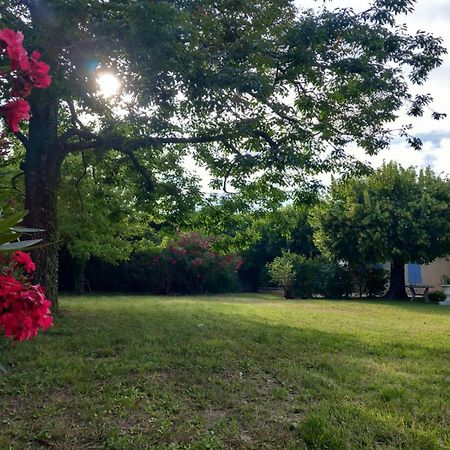 Le Petit Mas Des Alpilles En Provence Villa Saint-Étienne-du-Grès Dış mekan fotoğraf