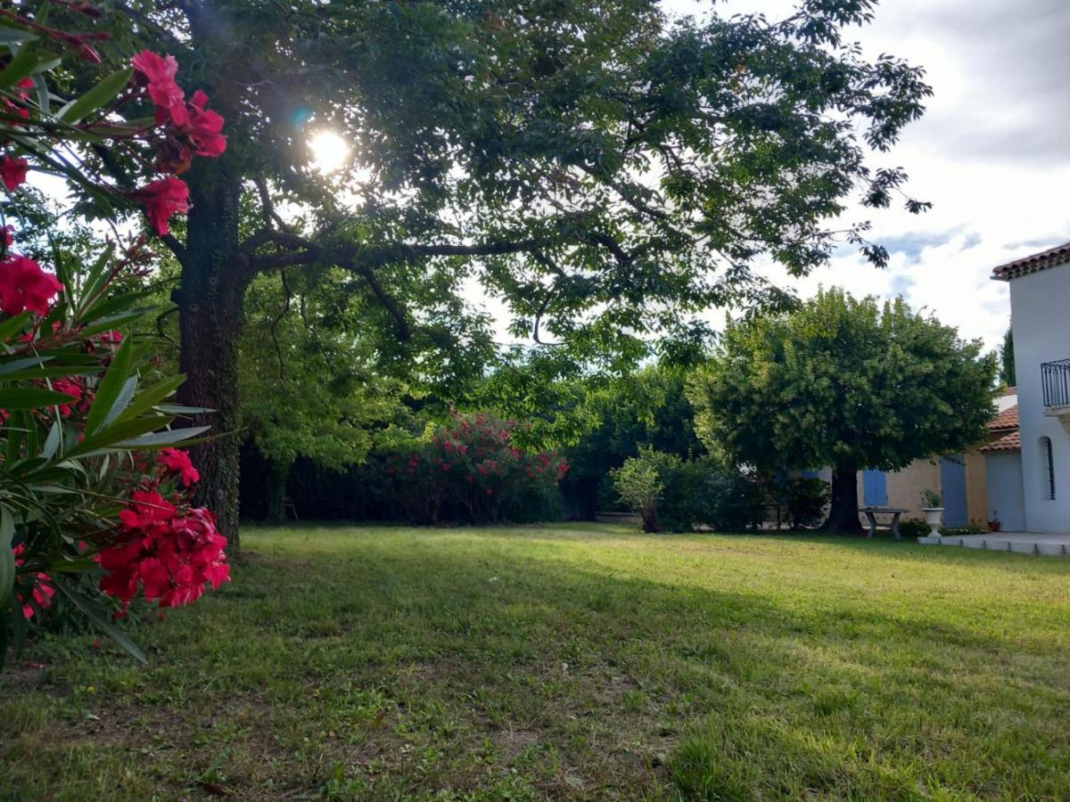 Le Petit Mas Des Alpilles En Provence Villa Saint-Étienne-du-Grès Dış mekan fotoğraf